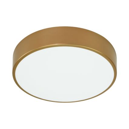 CLEO ceiling light with motion and dusk sensor, 3xE27/24W/230V, diam. 40 cm, gold