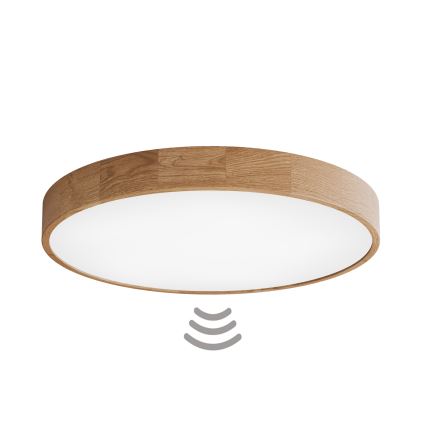 CLEO ceiling light with sensor, 6×E27/24W/230V, Ø 80 cm, oak