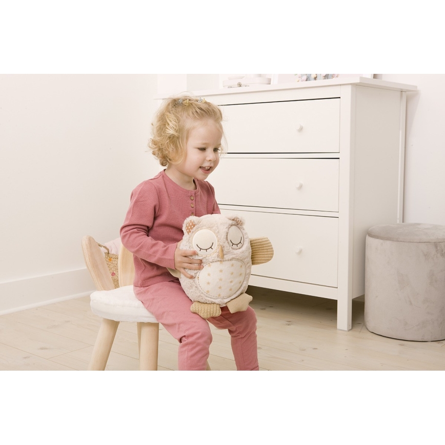 Cloud B - Snuggle buddy with a melody 2xAA owl