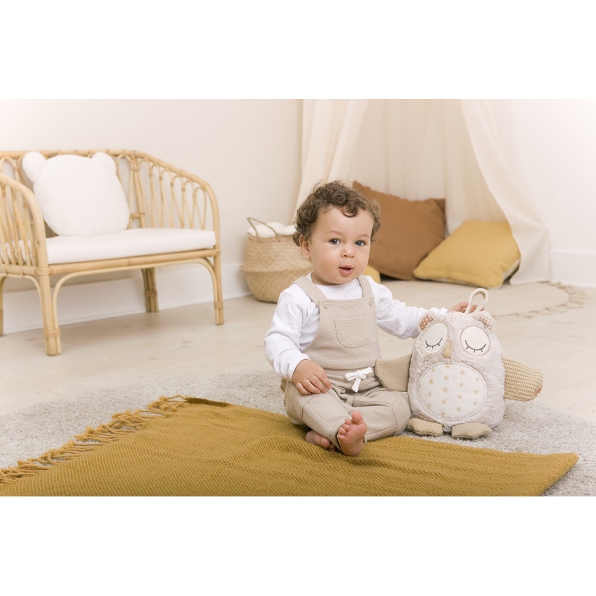 Cloud B - Snuggle buddy with a melody 2xAA owl