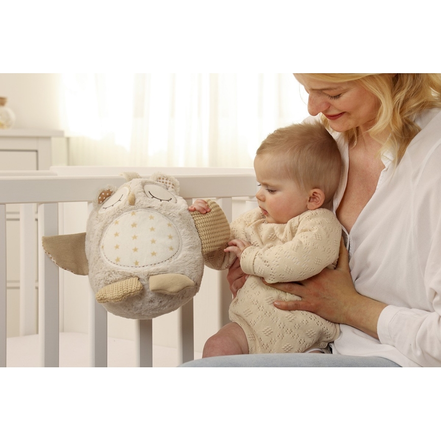 Cloud B - Snuggle buddy with a melody 2xAA owl