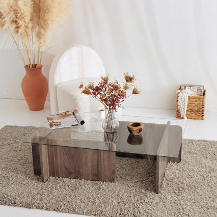 Coffee table ESCAPE 30x105 cm brown/clear
