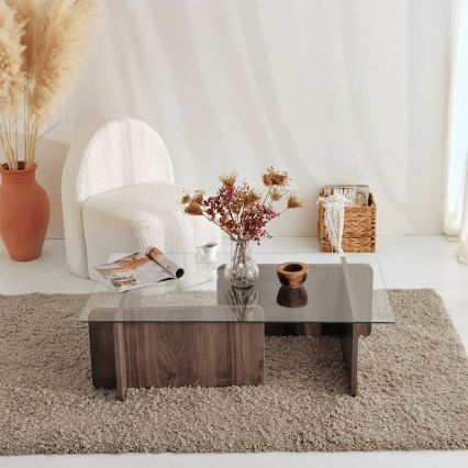 Coffee table ESCAPE 30x105 cm brown/clear