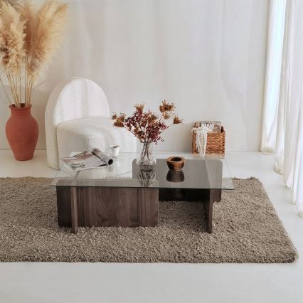Coffee table ESCAPE 30x105 cm brown/clear
