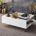 Coffee table FRIDA 63x90 cm white