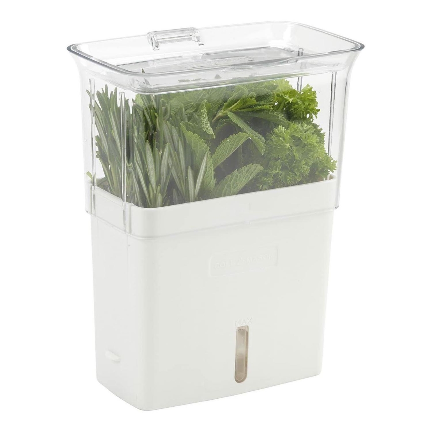 Cole&Mason - Container for storing freshly cut herbs