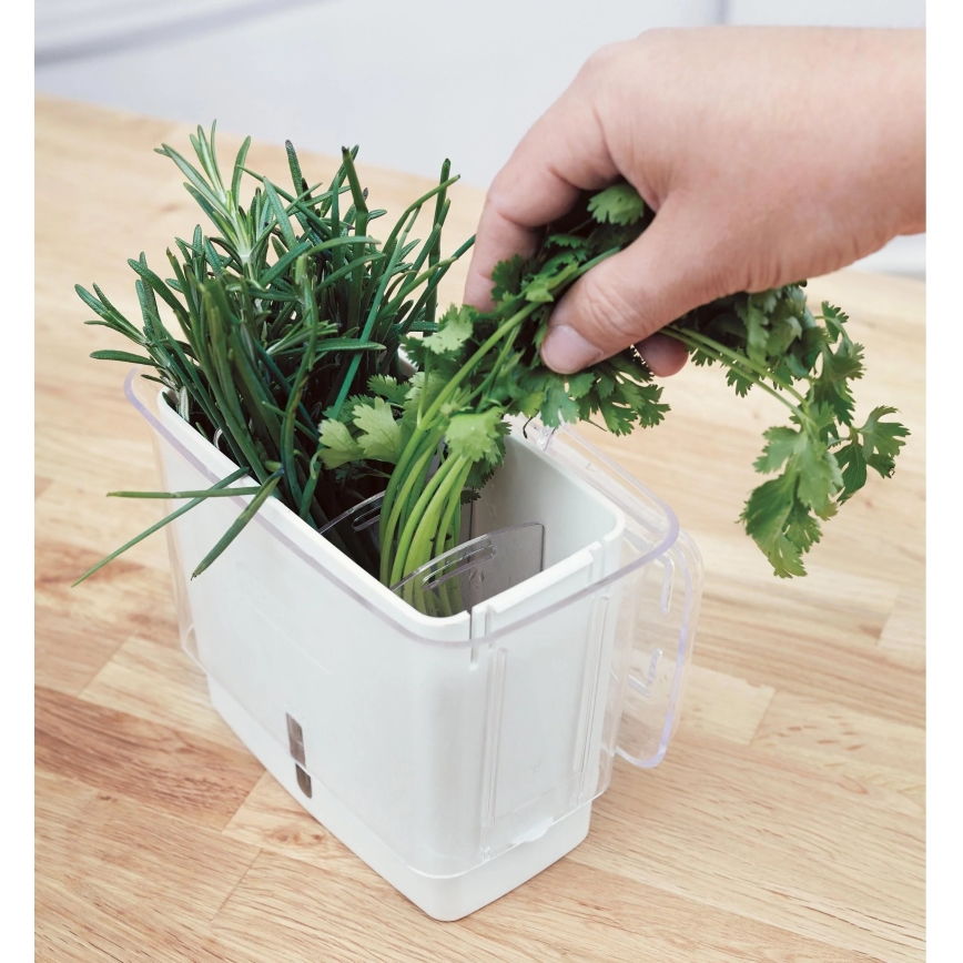 Cole&Mason - Container for storing freshly cut herbs