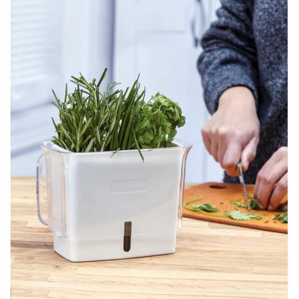 Cole&Mason - Container for storing freshly cut herbs