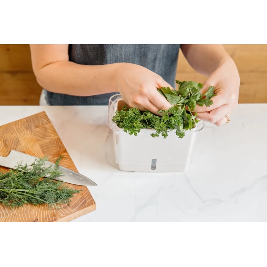 Cole&Mason - Container for storing freshly cut herbs