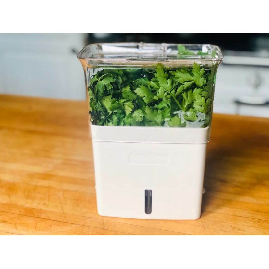 Cole&Mason - Container for storing freshly cut herbs