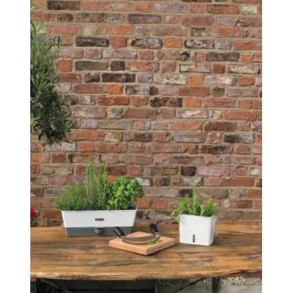 Cole&Mason - Container for storing freshly cut herbs