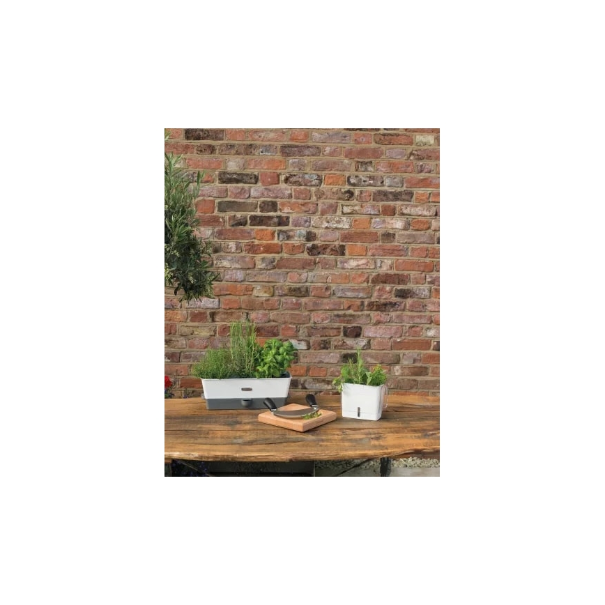 Cole&Mason - Container for storing freshly cut herbs
