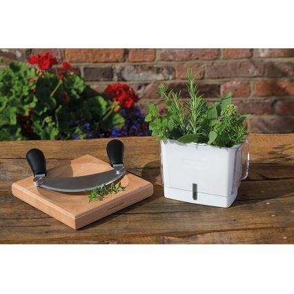 Cole&Mason - Container for storing freshly cut herbs