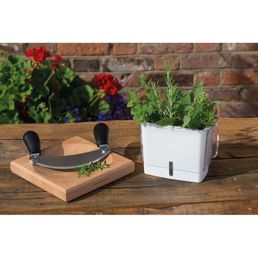 Cole&Mason - Container for storing freshly cut herbs