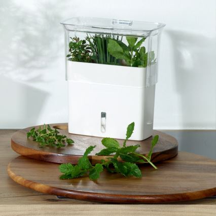 Cole&Mason - Container for storing freshly cut herbs