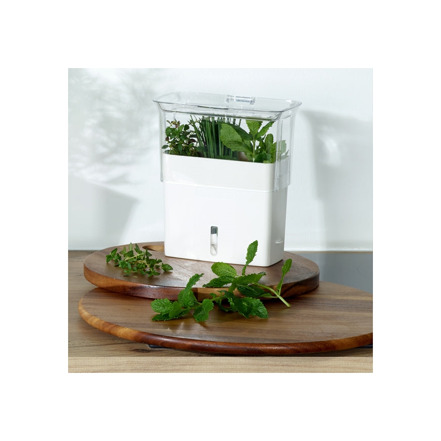 Cole&Mason - Container for storing freshly cut herbs