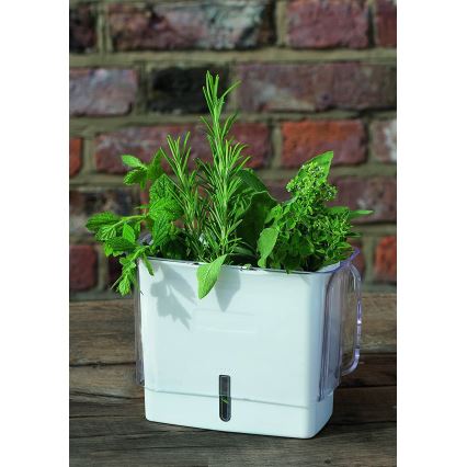 Cole&Mason - Container for storing freshly cut herbs