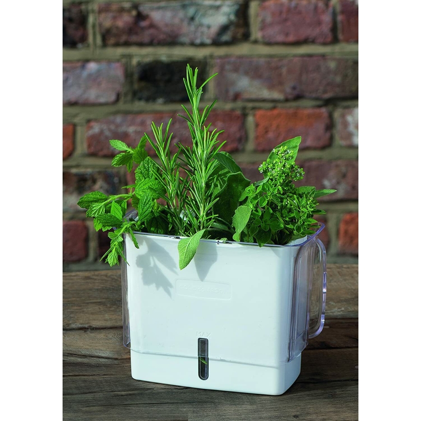 Cole&Mason - Container for storing freshly cut herbs