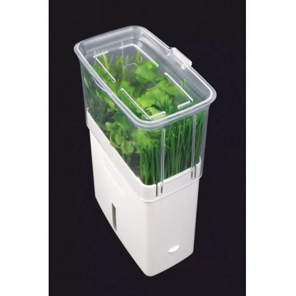 Cole&Mason - Container for storing freshly cut herbs