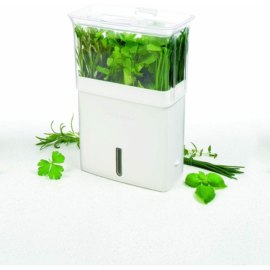 Cole&Mason - Container for storing freshly cut herbs