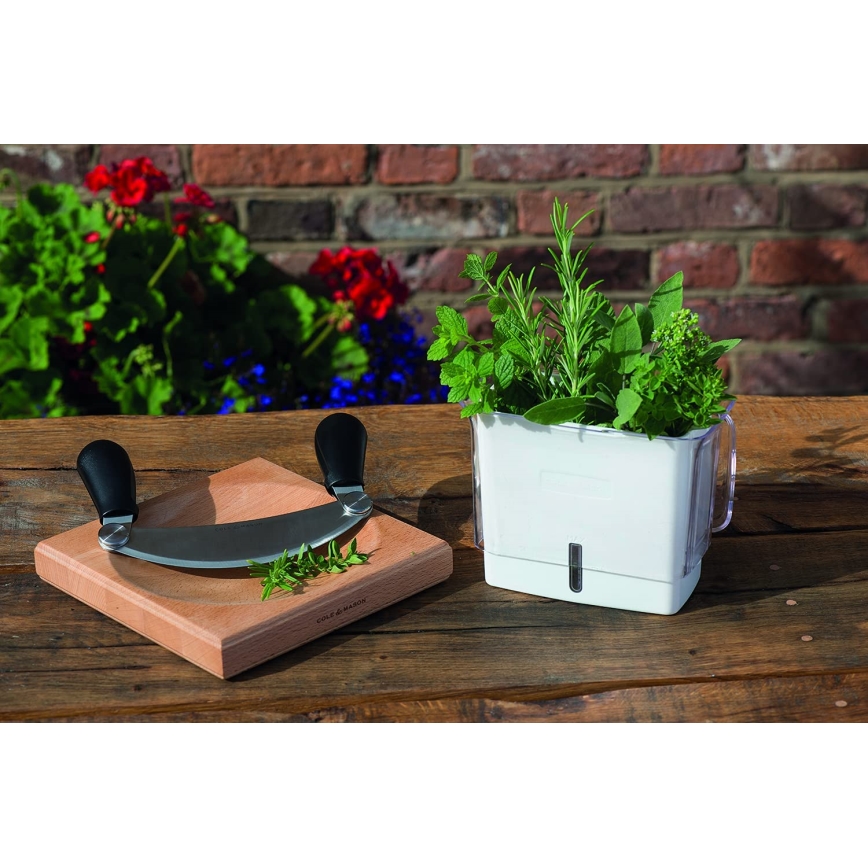 Cole&Mason - Kitchen cutting board and cradle knife 21,5x51,5 cm beech