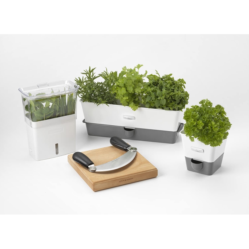 Cole&Mason - Kitchen cutting board and cradle knife 21,5x51,5 cm beech