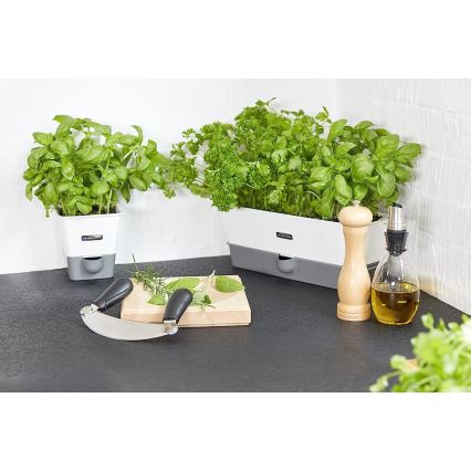 Cole&Mason - Pepper grinder CAPSTAN BEECH beech 20 cm