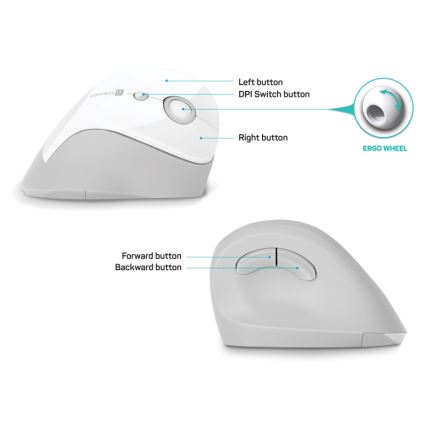 CONNECT IT CMO-2700-WH - Ergonomic wireless mouse 800/1200/1600 DPI 1xAA white