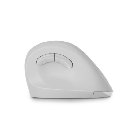 CONNECT IT CMO-2700-WH - Ergonomic wireless mouse 800/1200/1600 DPI 1xAA white