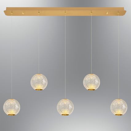 CREMONA cable-suspended LED chandelier 5xLED/5W/230V 3000K gold