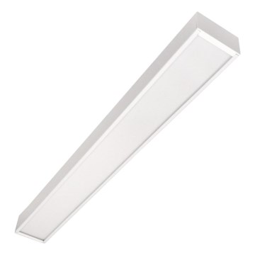 CYNIDECO LED Ceiling Mounted Pendant Light 12W/230V 4000K White