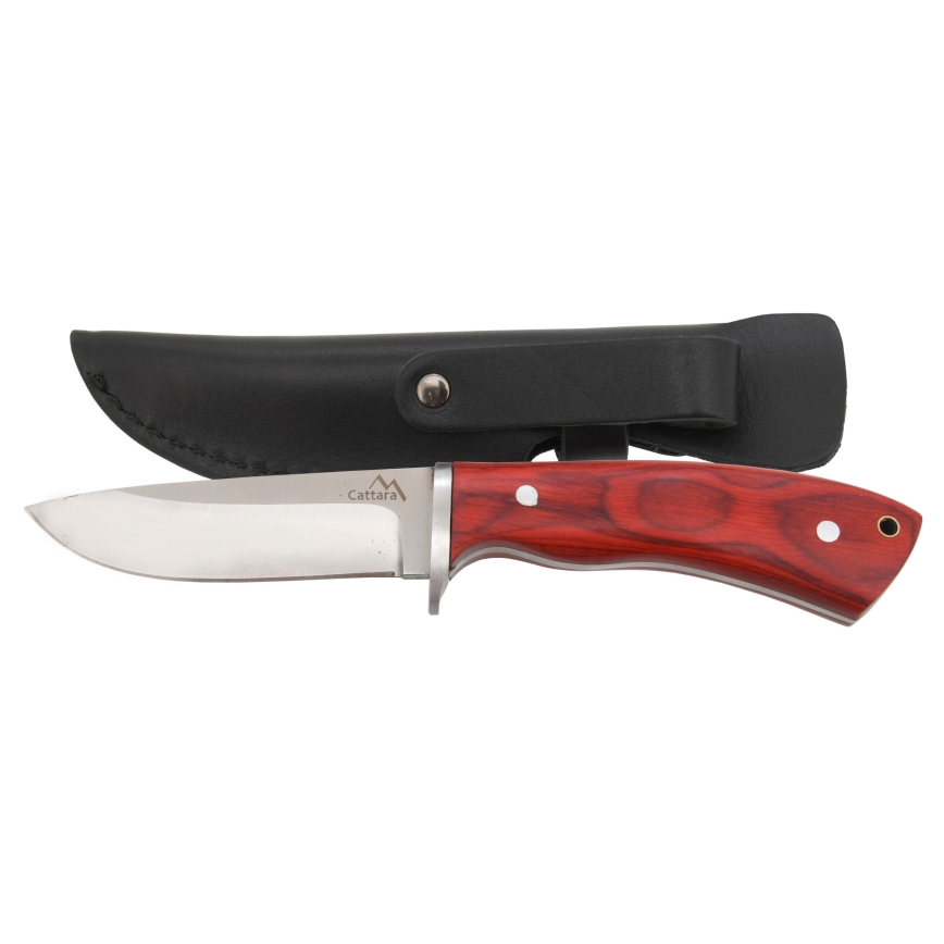 Dagger with leather sheath 21 cm
