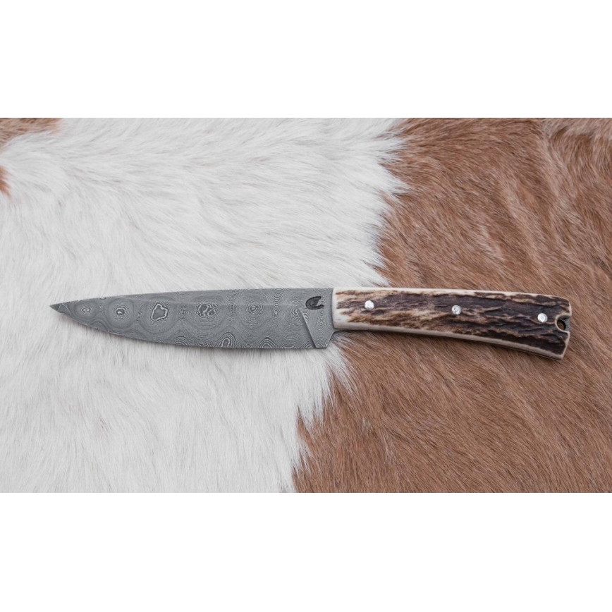 Damascus hunting dispatch knife with mini saw 12 cm deer antler
