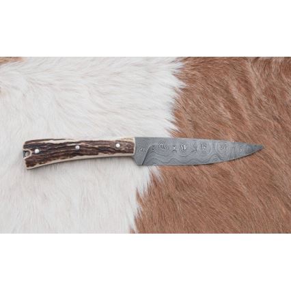 Damascus hunting dispatch knife with mini saw 12 cm deer antler