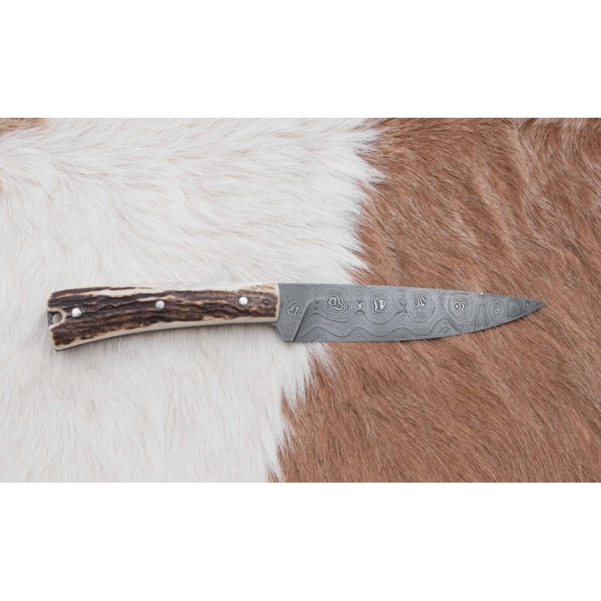 Damascus hunting dispatch knife with mini saw 12 cm deer antler