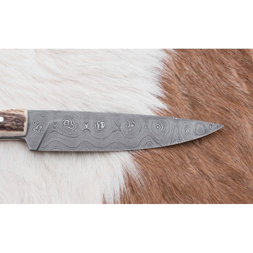 Damascus hunting dispatch knife with mini saw 12 cm deer antler