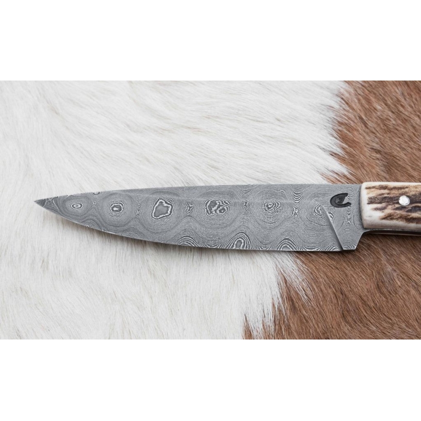 Damascus hunting dispatch knife with mini saw 12 cm deer antler