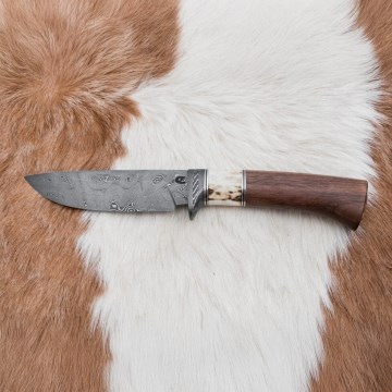 Damascus hunting knife 11,8 cm walnut/deer antler