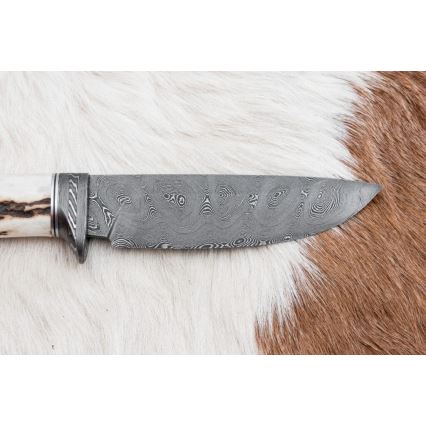 Damascus hunting knife 11,8 cm walnut/deer antler