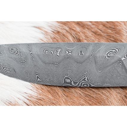 Damascus hunting knife 11,8 cm walnut/deer antler