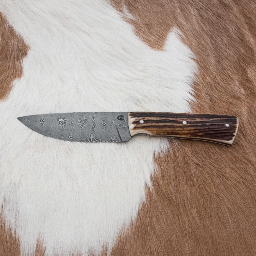Damascus hunting knife 11 cm deer antler