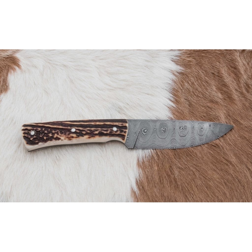 Damascus hunting knife 11 cm deer antler