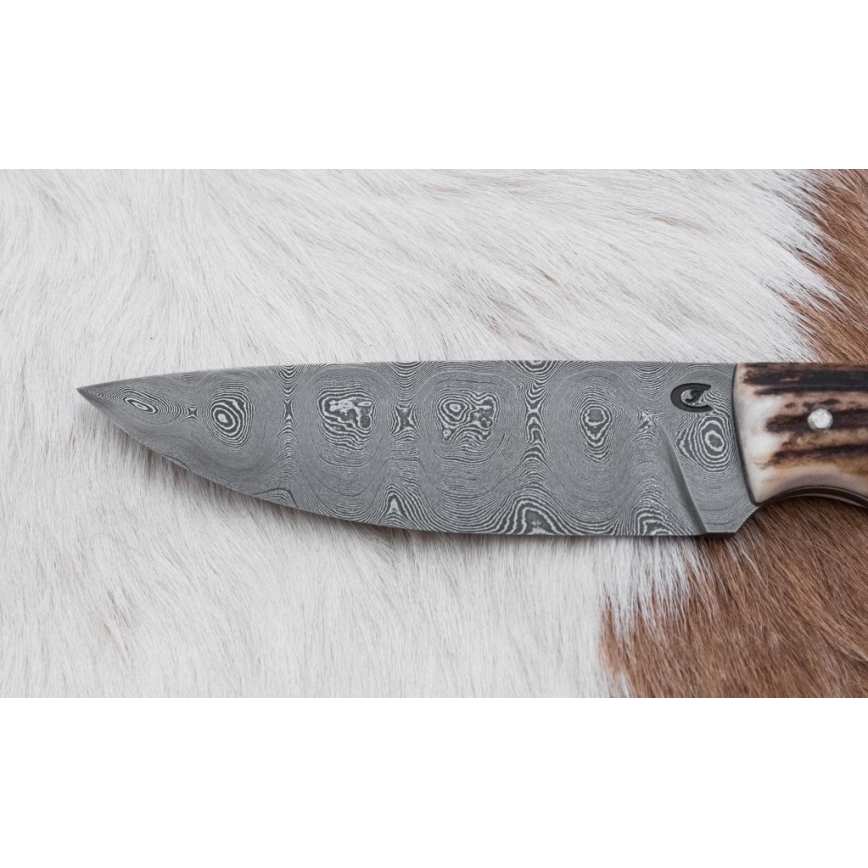 Damascus hunting knife 11 cm deer antler