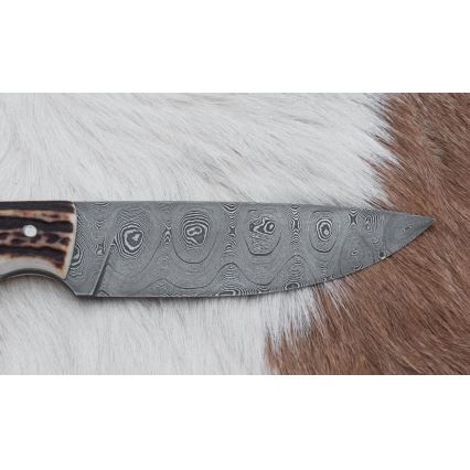 Damascus hunting knife 11 cm deer antler