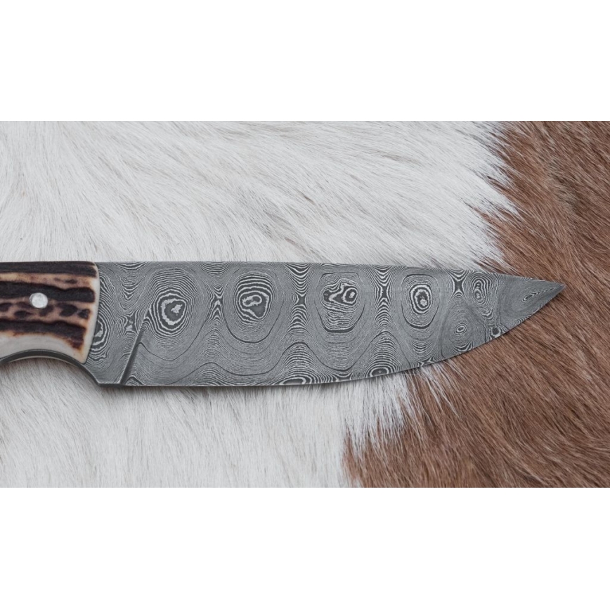 Damascus hunting knife 11 cm deer antler