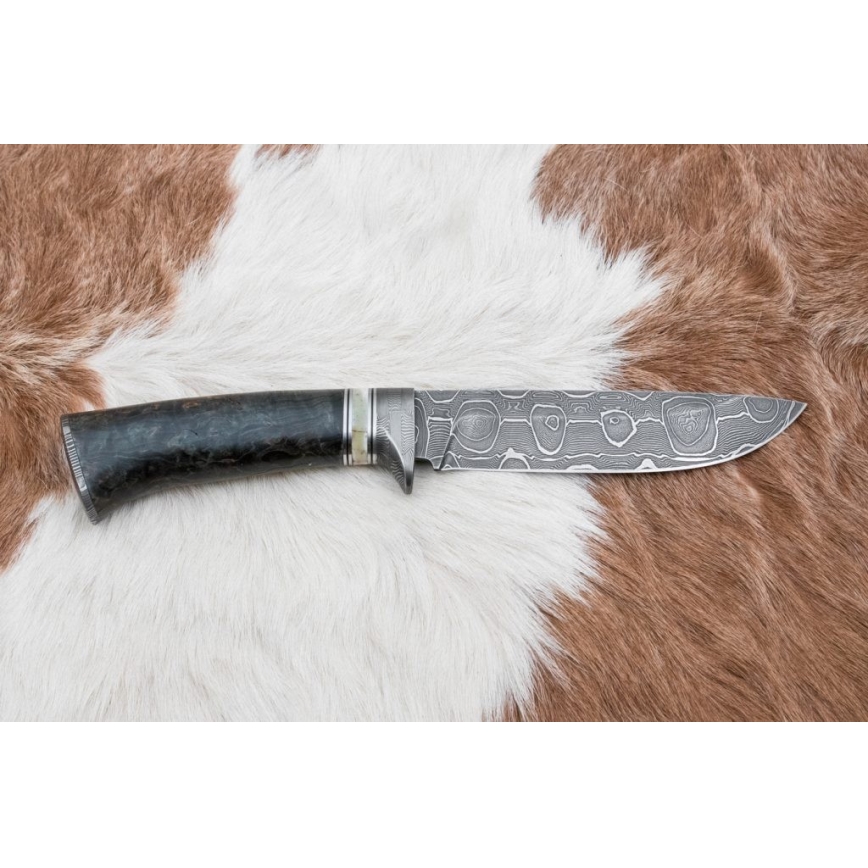 Damascus hunting knife 13,8 cm birch/camel bone