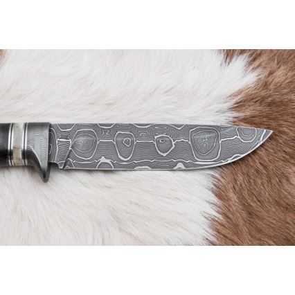 Damascus hunting knife 13,8 cm birch/camel bone