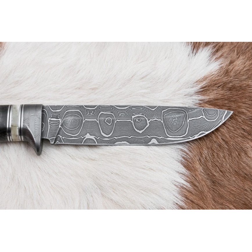 Damascus hunting knife 13,8 cm birch/camel bone