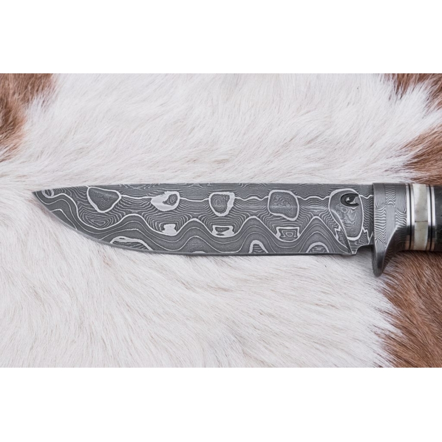 Damascus hunting knife 13,8 cm birch/camel bone