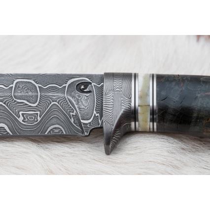 Damascus hunting knife 13,8 cm birch/camel bone